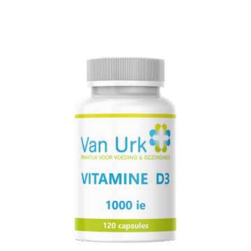 D3 1000ie 120 capsules